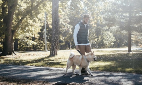 man walking dog
